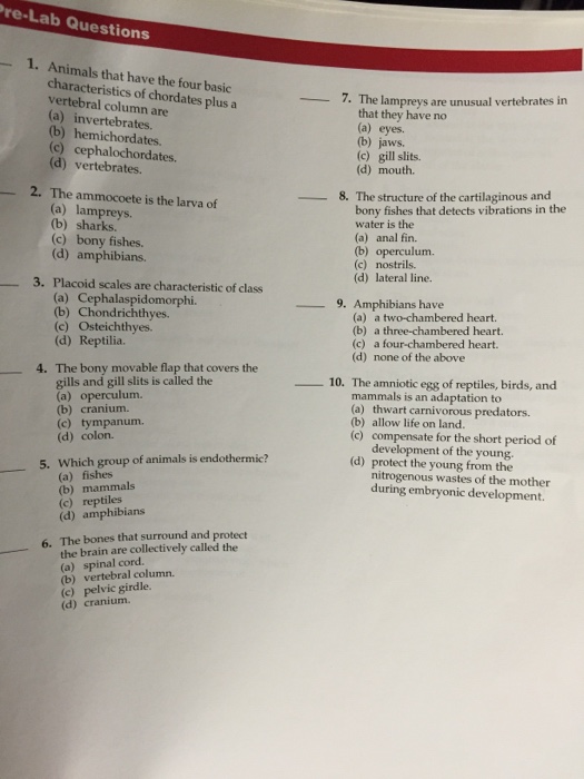 Question: Animals that have the four basic characteristics of chordates plus a vertebral column are  invert...