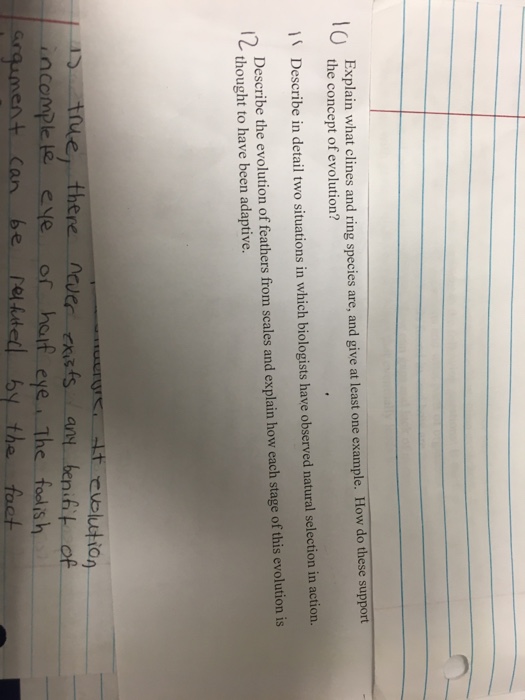 Question: Explain u hat clines and ring species are, and give at least one example. How do these support th...