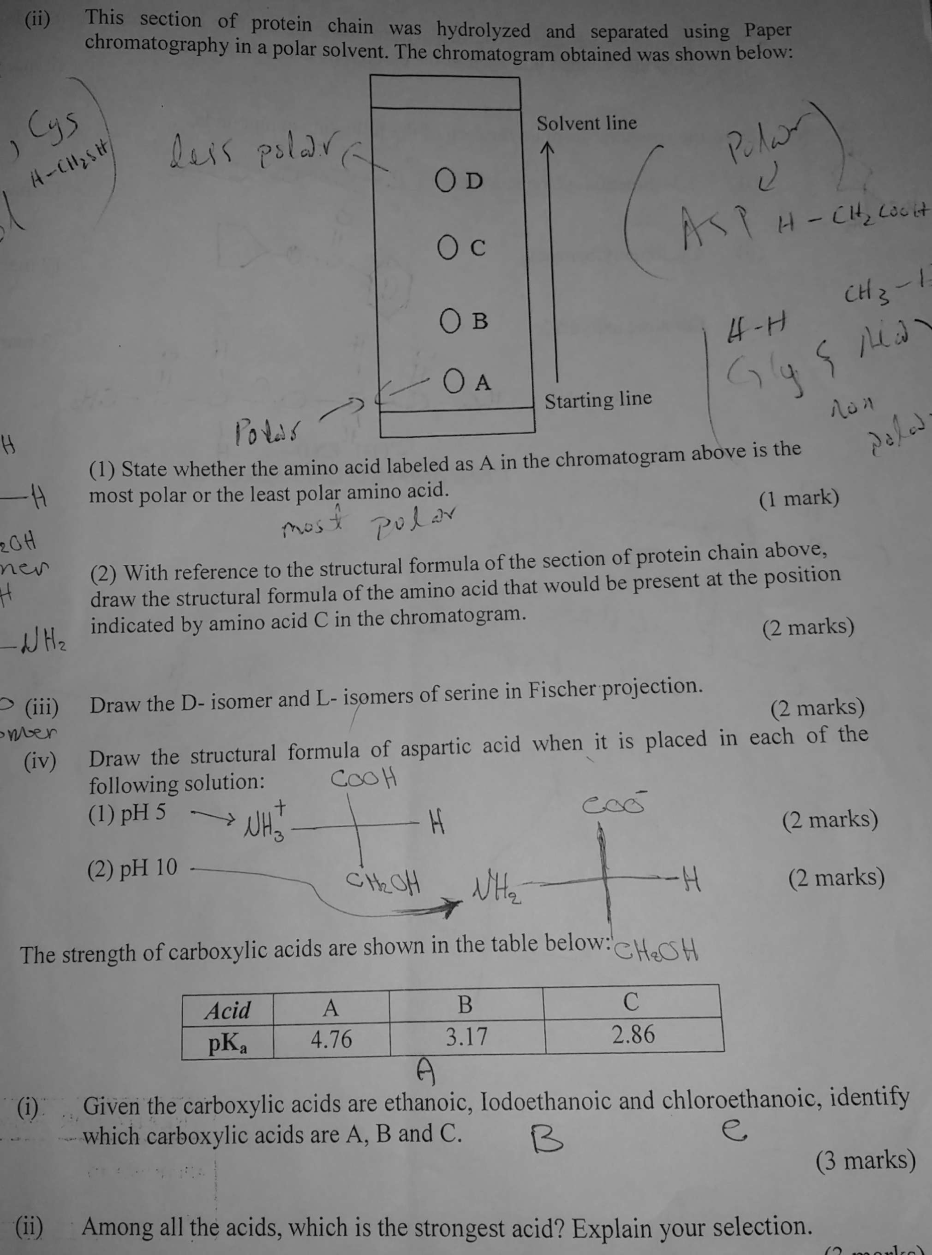 Paper chromatography method image