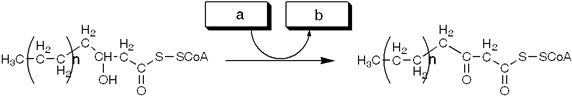 Question: Which group of small molecules best fit the boxes associatedwith the reaction shown?ab...