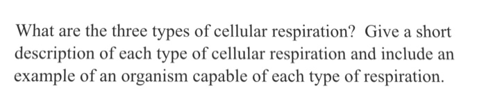 Question: What are the three types of cellular respiration? Give a short description of each type of cellul...