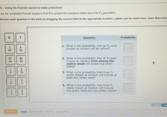 Question: Yy Male gametes 2 1 YY 2 Female gametes 1YY ? help ns My Answers Give Up Review Part are is a con...