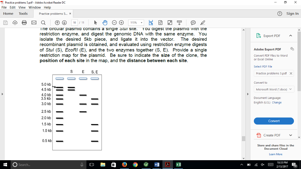 Cloning essay grade 12 picture