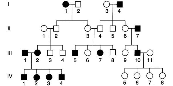 Question: Please answer all question and don't answer only onequestion:1The following pedigree shows...