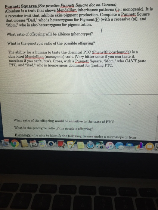 Question: Punnett Squares (See practice Punnett Square doc on Canvas)  Albinism is a trait that shows Mende...