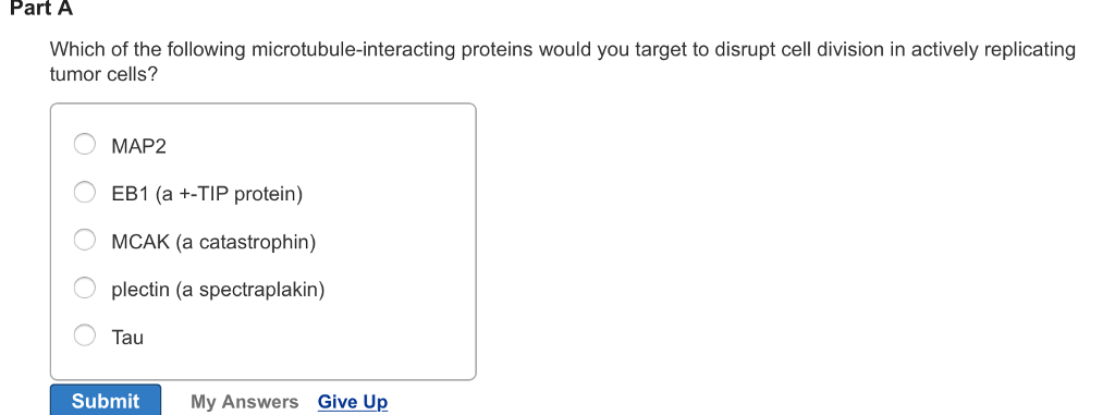 Question: Part A Which of the following microtubule-interacting proteins would you target to disrupt cell d...