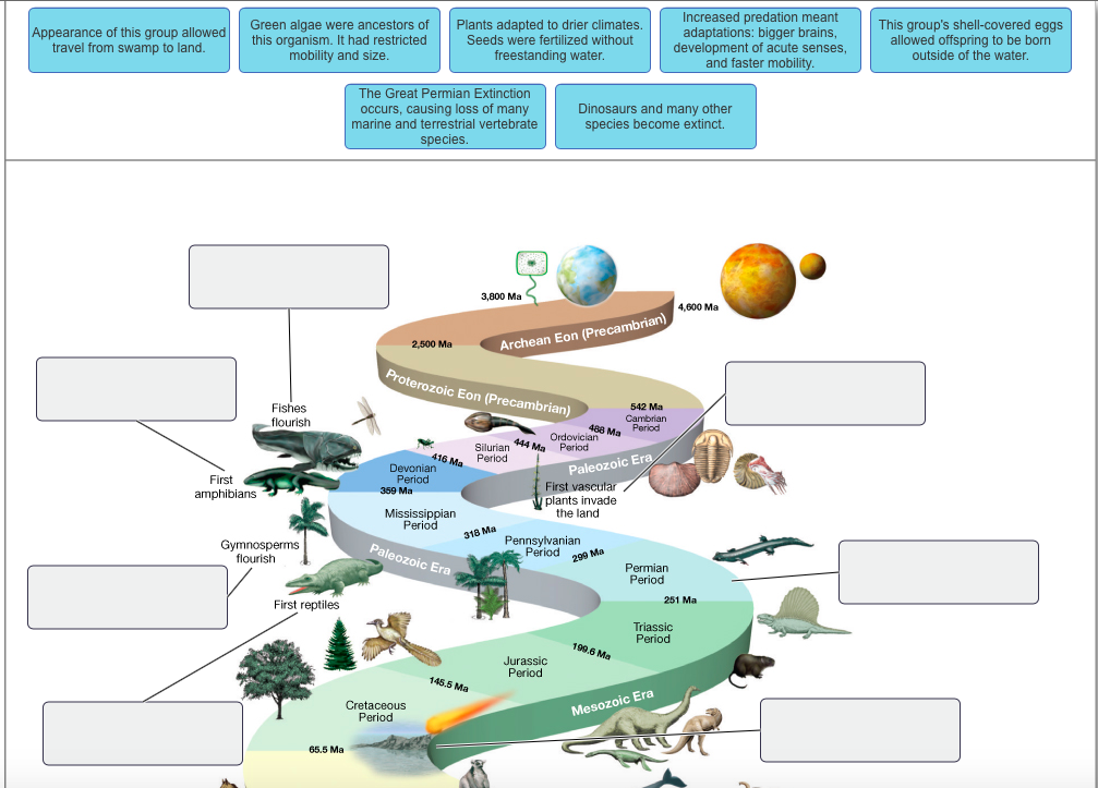 Solved: Part B - Events Through Geologic Time That Contrib... | Chegg.com