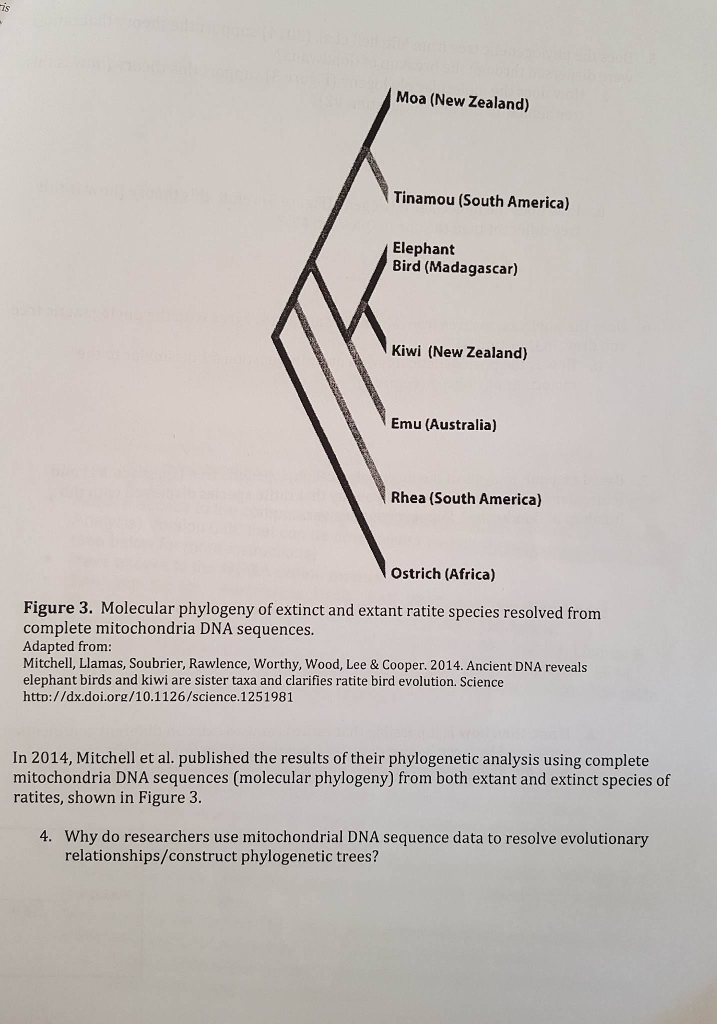 Question: Please help with biology questions. this is my second timeposting it... update it with the a big...