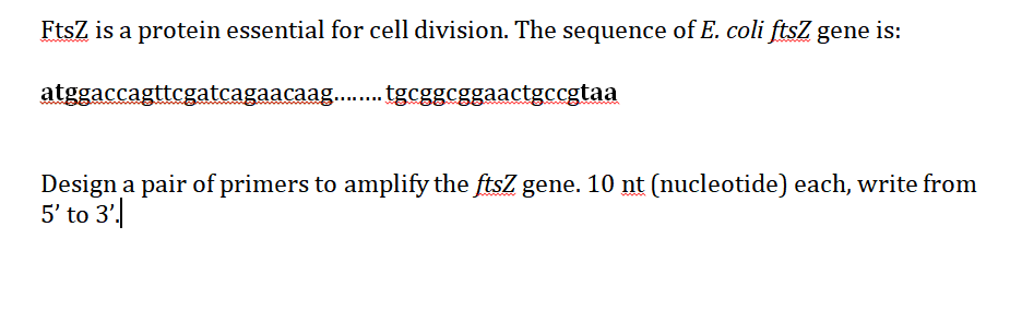Question: FtsZ is a protein essential for cell division. The sequence of E. coli ftsZ gene is: Design a pai...