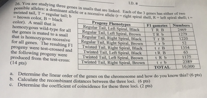 Question: Ypu are studying three genes in snails that are linked. Each of the 3 genes has either of two pos...