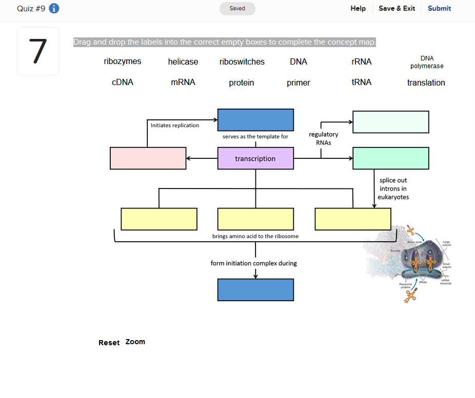 Question: Drag and drop the labels into the correct empty boxes tocomplete the concept map.
