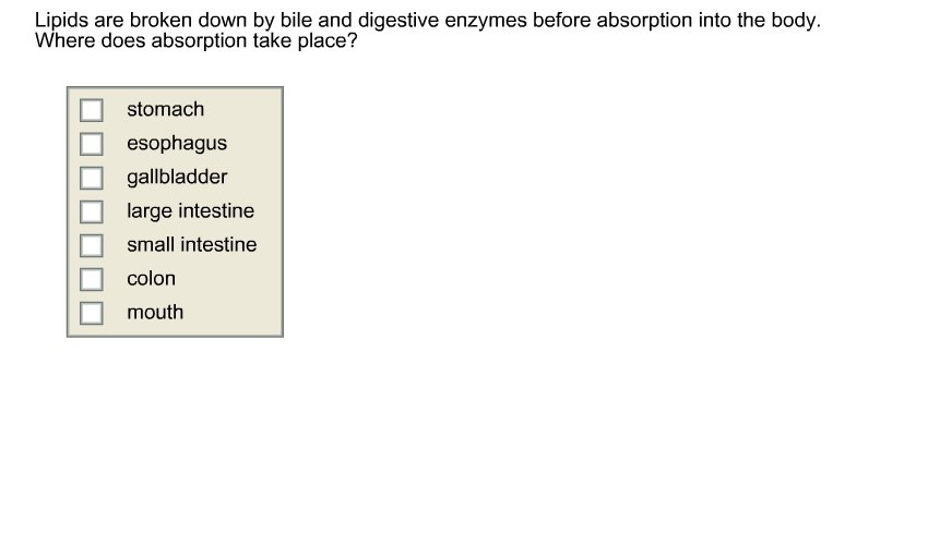 Question: Lipids are broken down by bile and digestive enzymes beforeabsorption into the body. Where does ...