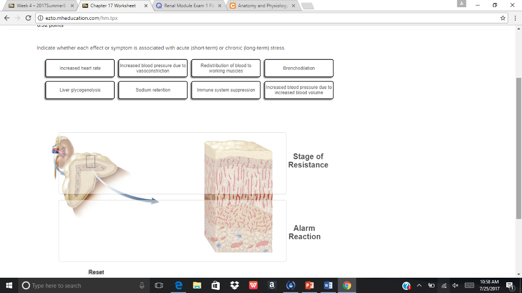 solved-indicate-whether-each-effect-or-symptom-is-associa-chegg