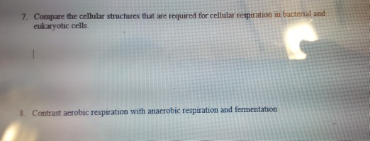Question: Compare the celhular structures that are required for cellular respiration in bacterial and eukar...