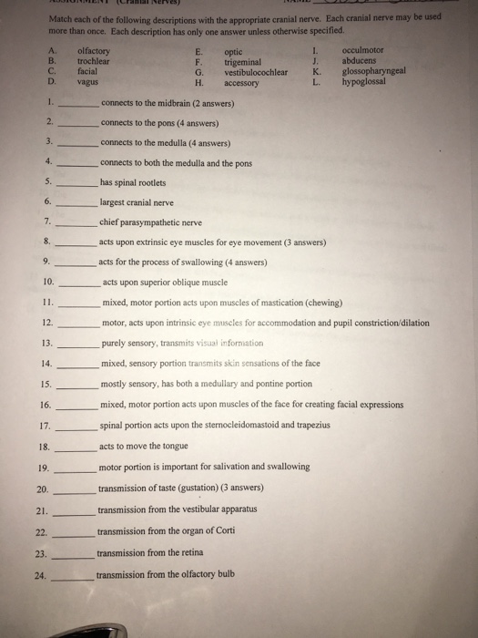 Question: Match each of the following descriptions with the appropriate cranial nerve. Each cranial nerve m...
