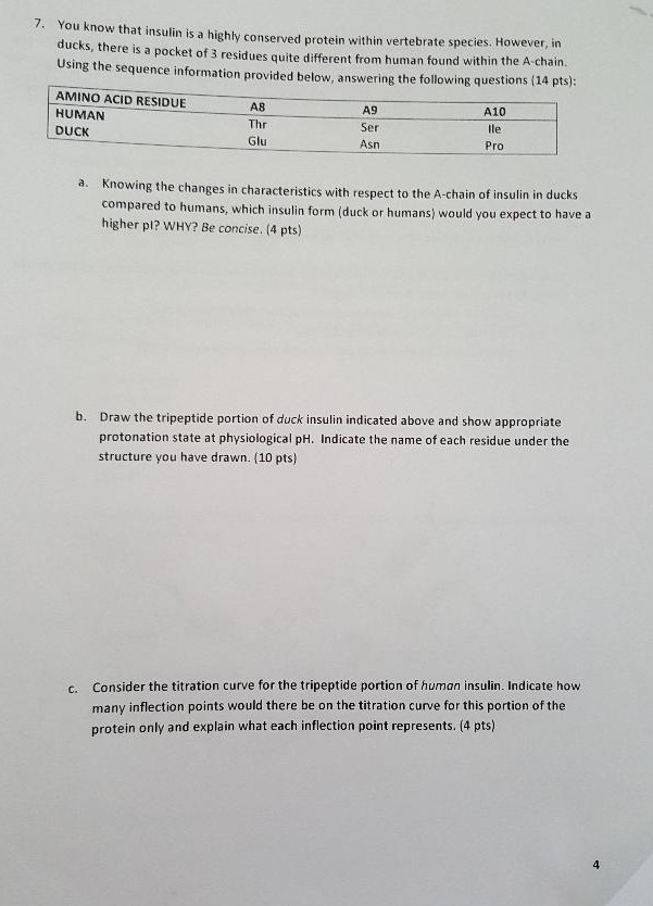 Question: You know that insulin is a highly conserved protein within vertebrate species. However, in ducks,...