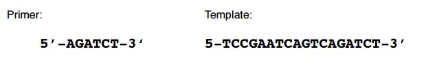Question: The primer and DNA template below are used for Sangersequencing.Draw the DNA fragments that wo...
