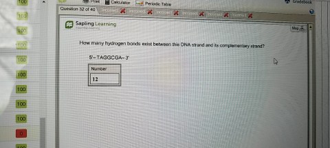 Question: How many hydrogen bonds exist between this DNA strandand its complementary strand?