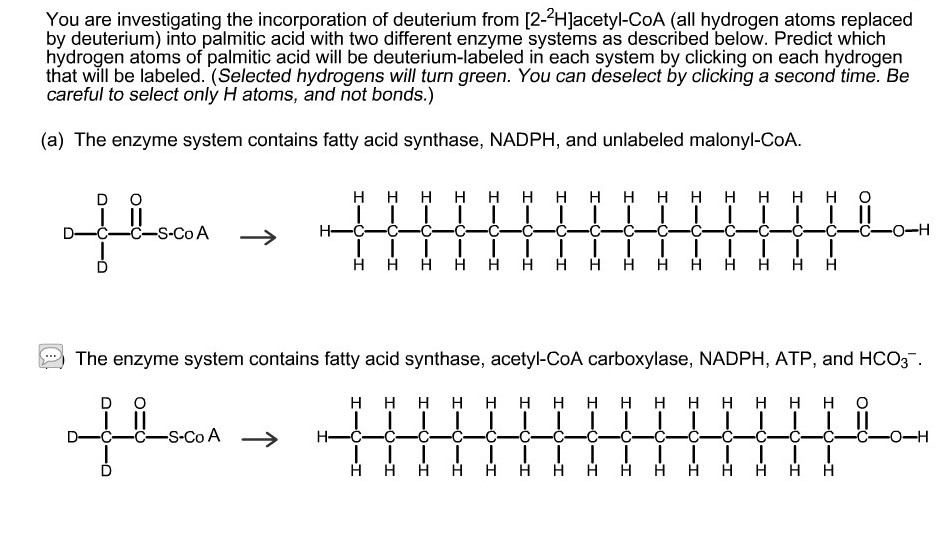 Question: You are investigating the incorporation of deuterium from[2-2H]acetyl-CoA (all hydrogen atoms re...