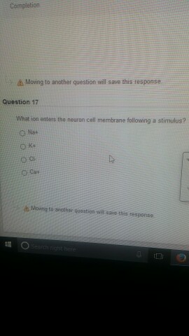 Question: What ion enters the neuron cell membrane following a stimulus?  Na^+  K^+  Ca^+