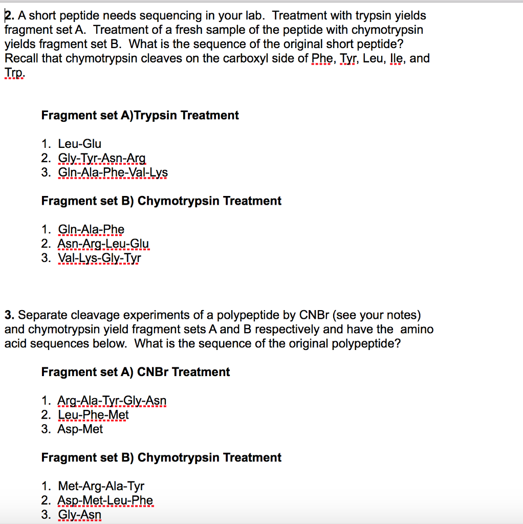 Unforgettable travel experience essay picture