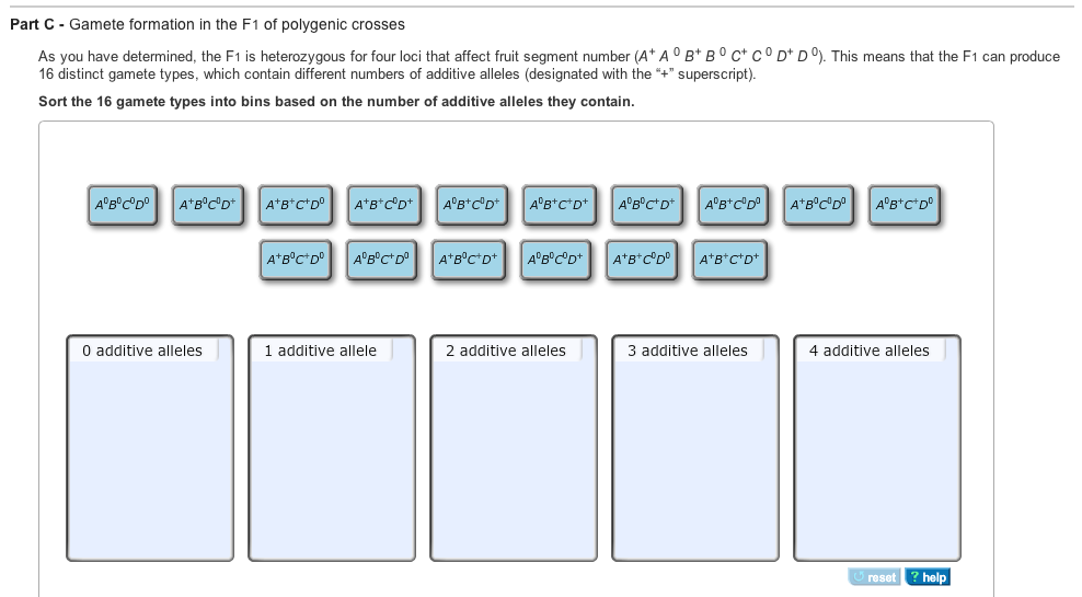 Gamete Formation In The F1 Of Polygenic Crosses