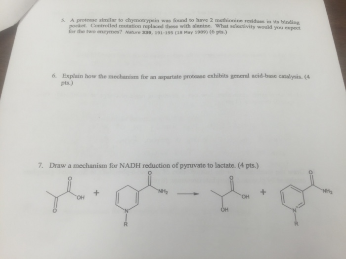 Question: A protease similar to chymotrypsin was found to have 2 methionine residues in its binding pocket....