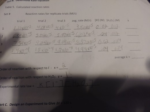 Question: Orf β- Deter "line Rate Equation Table 5. Calculated reaction rates Set # Reaction rates for repl...