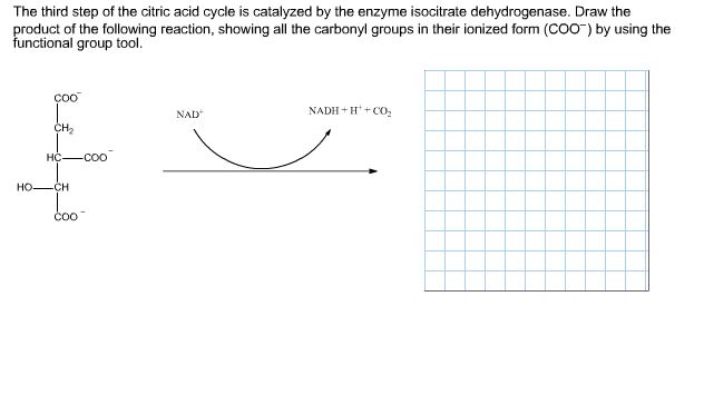 isocitrate dehydrogenase isocitrate dehydrogenase