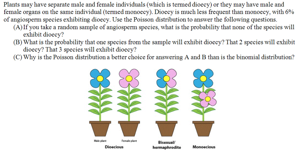 When To Separate The Male From The Female Plants 40
