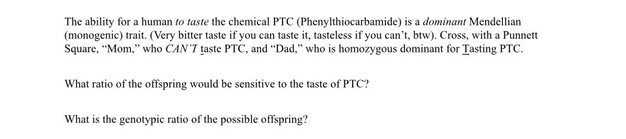 Human ability essay picture