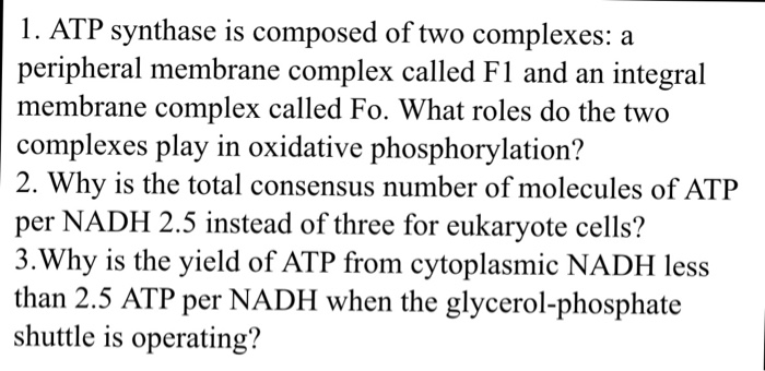 Question: ATP synthase is composed of two complexes: a peripheral membrane complex called F1 and an integra...