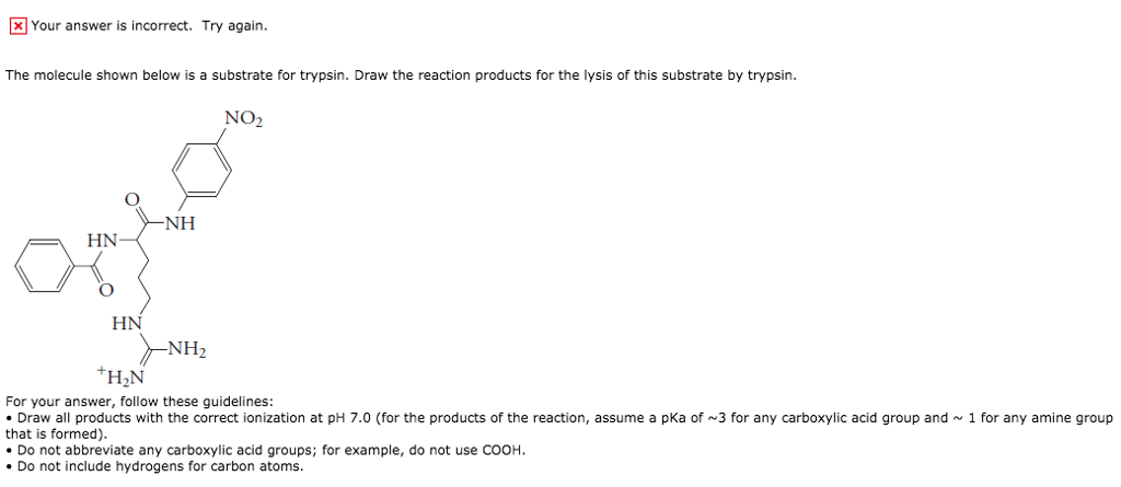 Question: Your answer is incorrect. Try again. The molecule shown below is a substrate for trypsin. Draw th...