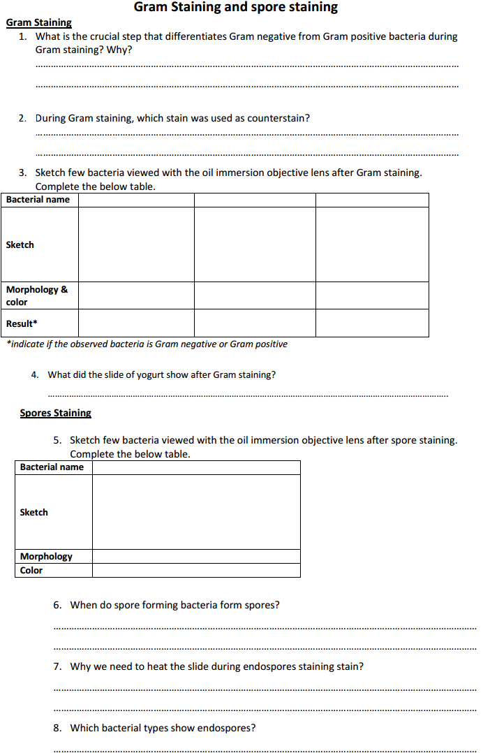 gram negative lab report A standard part of nearly all lab courses in introductory microbiology is an activity 5 -9 gram-negative unknown report due chemical and microbiological lab. gram negative lab report A standard part of nearly all lab courses in introductory microbiology is an activity 5 -9 gram-negative unknown report due chemical and microbiological lab.