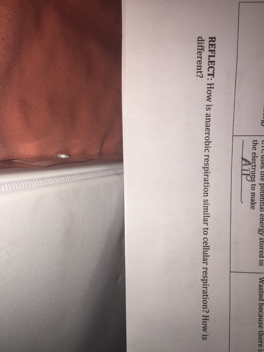 Question: REFLECT: How is anaerobic respiration similar to cellular respiration? How is different?