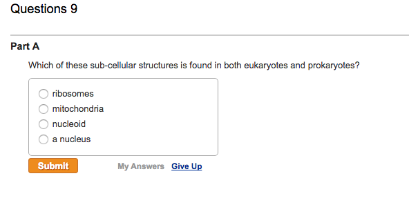 Question: Which of these sub-cellular structures is found in both eukaryotes and prokaryotes?  ribosomes  m...