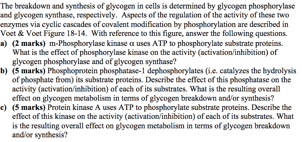 Short essay questions examples image