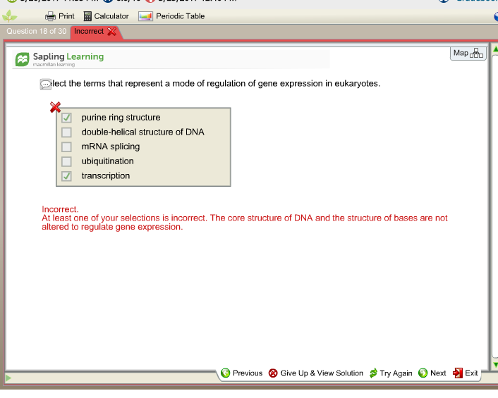 Descriptive essay pdf image