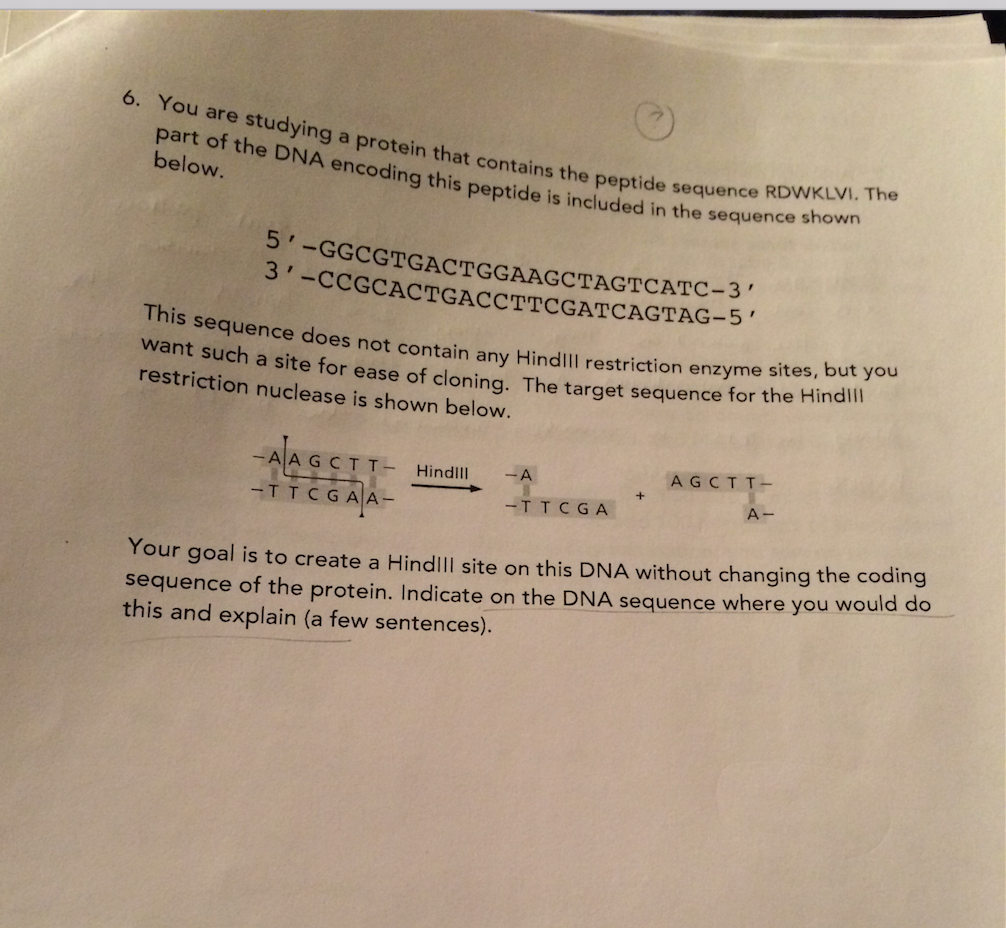 Question: You are studying a protein that contains the peptide sequenceRDWKLVI. The part of the DNA encodi...