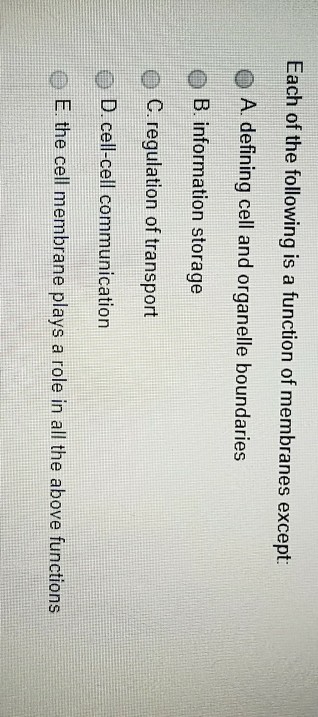 Question: What process involves proteins being held at the plasma membrane until the cell receives a cell t...