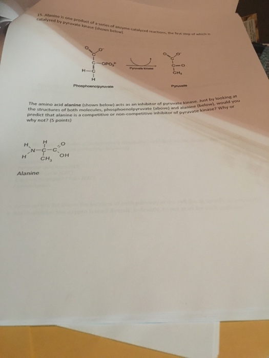 Question: 15. Alanine is one product of a series of entyme catalyted catalyzed by pyruvate kinase (shown be...