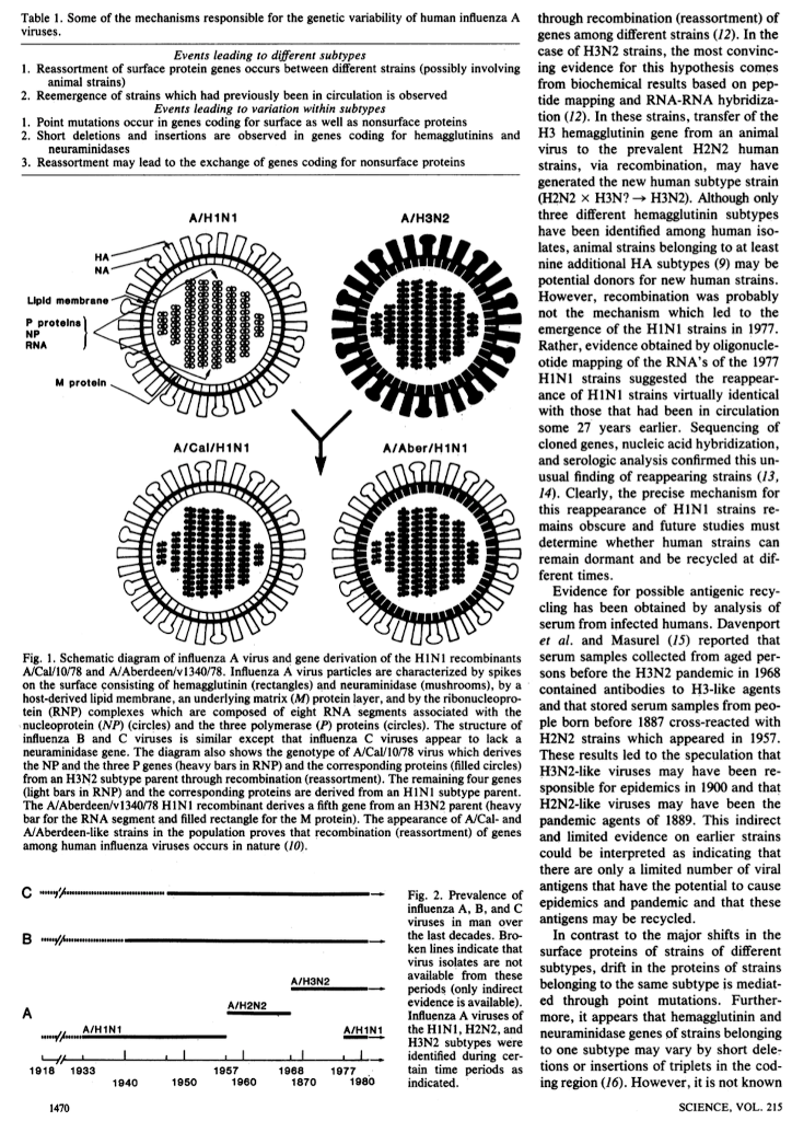 auto typing virus removal