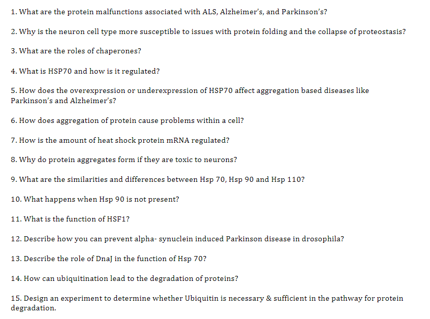 Als essay reviewer picture