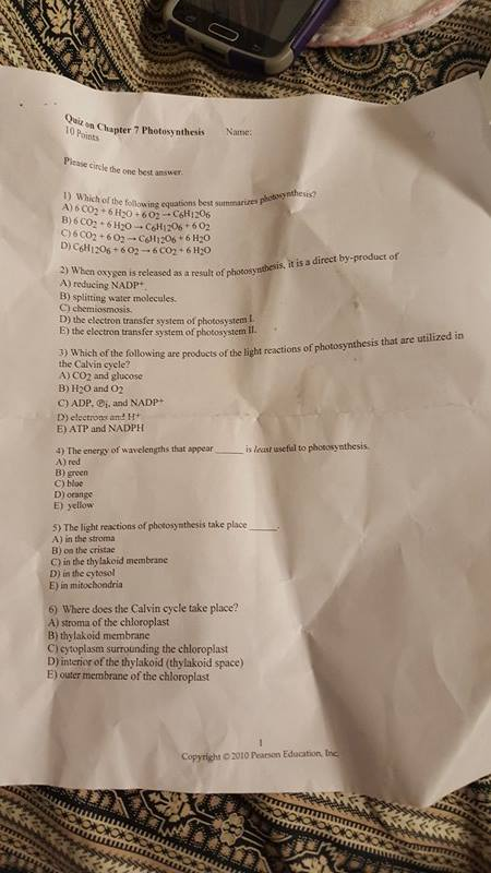 Question: Please I need the answers for the following questionsIt just multiple choice please answer all o...