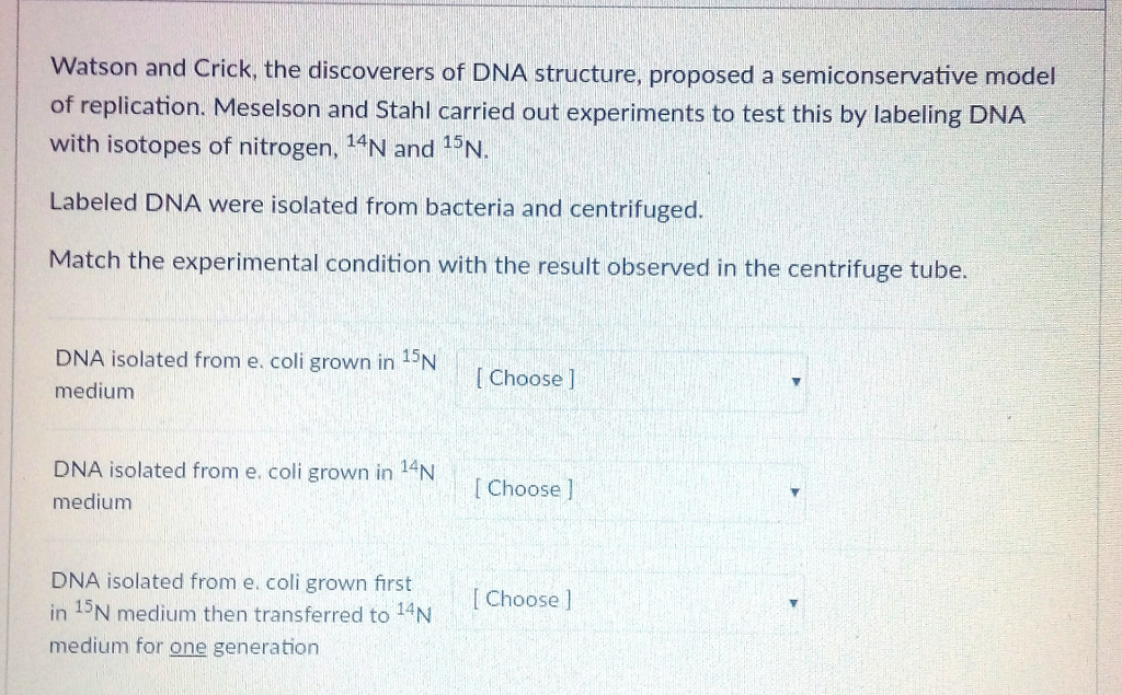 Question: Match the following :A. single upper band of DNAb. intermediate band of DNAc. single upper ban...