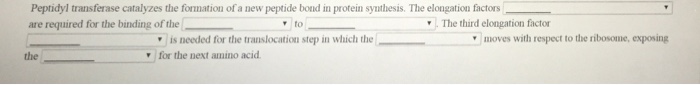 Question: Peptidyl transferase catalyzes the formation of a new peptide bond in protein new peptide bond in...