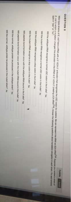 Question: Wild-type strains of E, coil have a tRNA with a 5'-GCA-3' anticodon that recognizes the UGC codon...