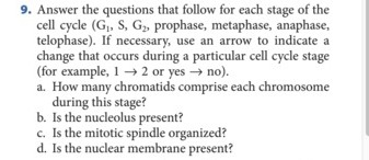 Question: Answer the questions that follow for each stage of the cell cycle (G_1, S, G_2, prophase, metapha...