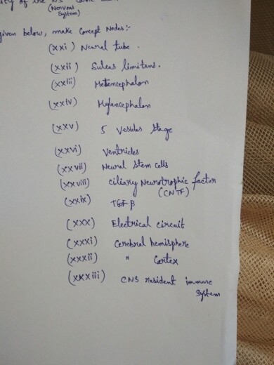 Question: Vi) Nkwten ella xxxit)