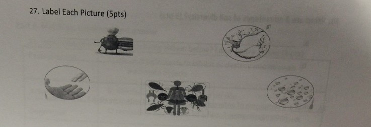 Question: 27. Label Each Picture (5pts)
